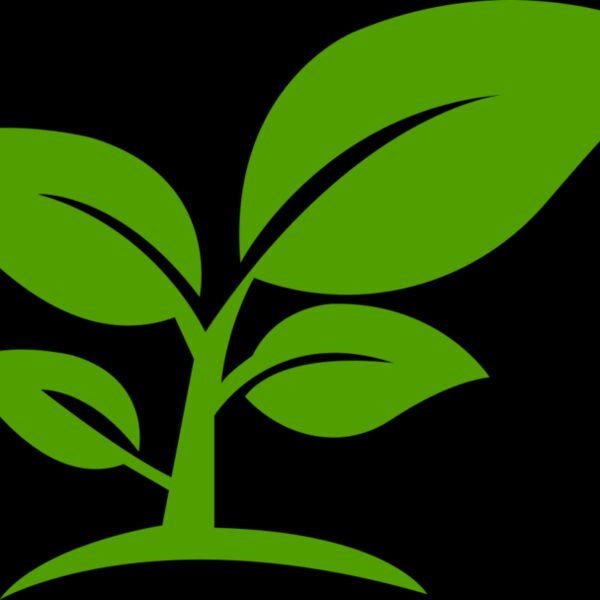 12 Leaves Thumbnail