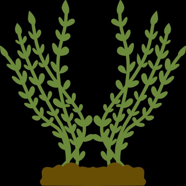 Plants 4 Thumbnail