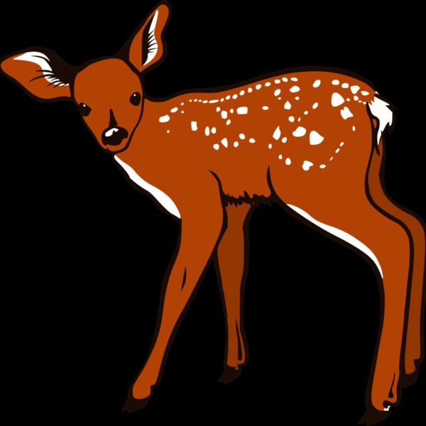Fawn Thumbnail