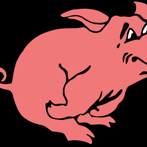 Running Pig Thumbnail