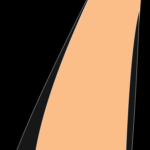 Nose 1 Thumbnail