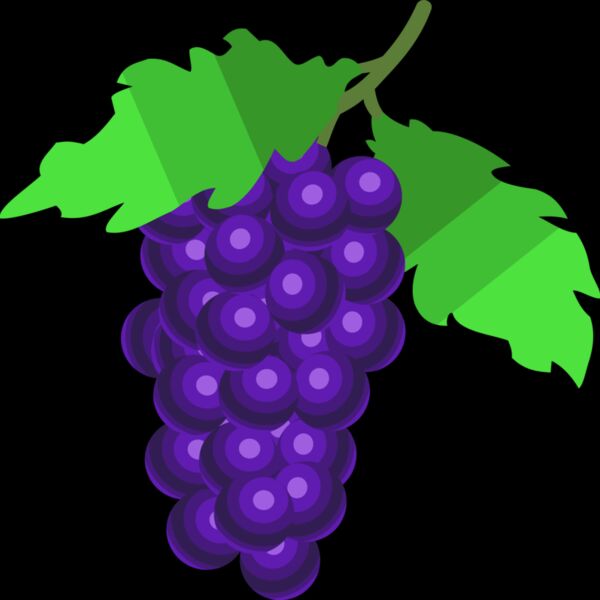 Grapes 1 Thumbnail
