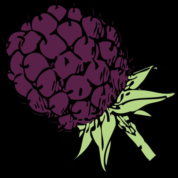 Blackberry Thumbnail