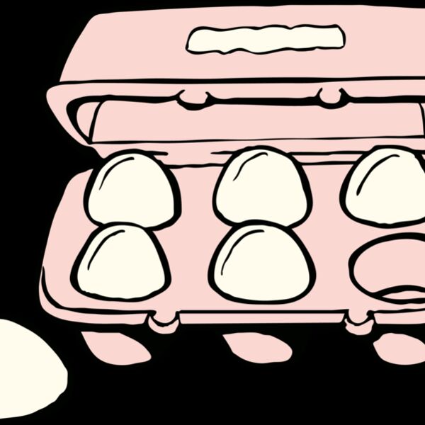 Carton of Eggs Thumbnail