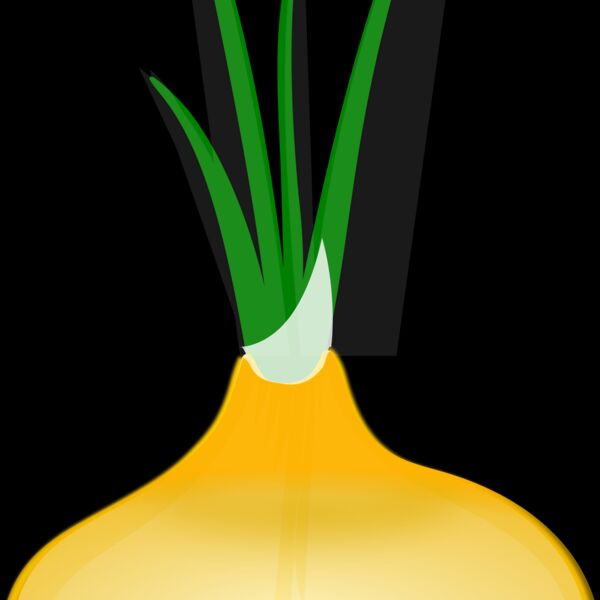 Onion 1 Thumbnail