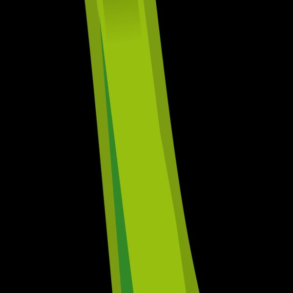 Celery  Thumbnail