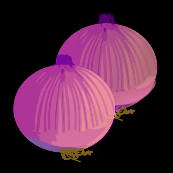 Onions  Thumbnail