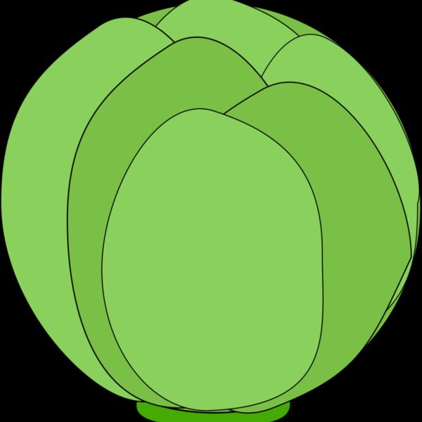 Cabbage Thumbnail