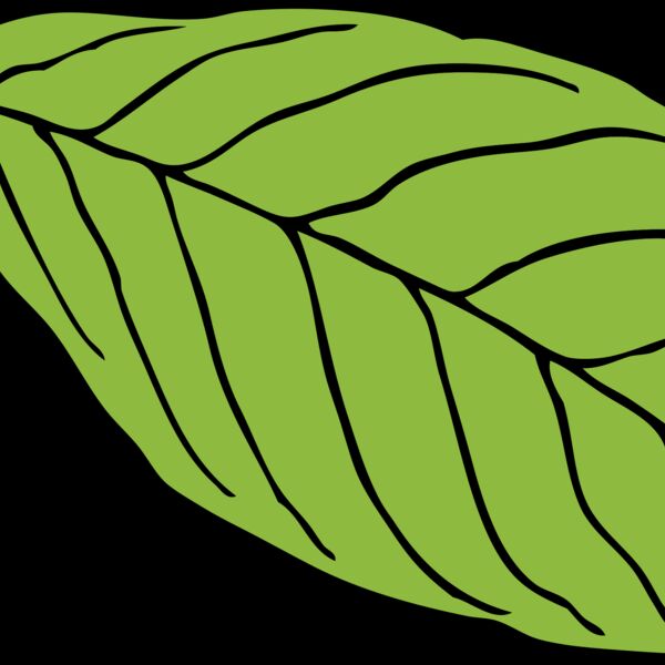 Leaf 2 Thumbnail