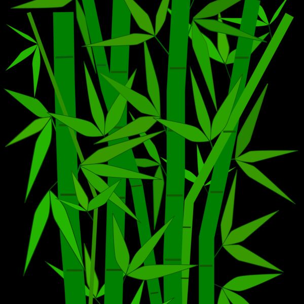 Bamboo 3 Thumbnail