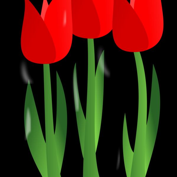 Flowers 1 Thumbnail