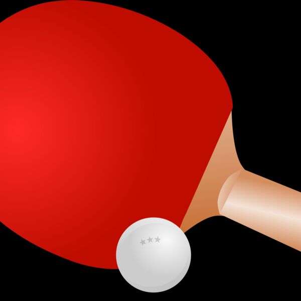 Ping Pong Paddle 1 Thumbnail