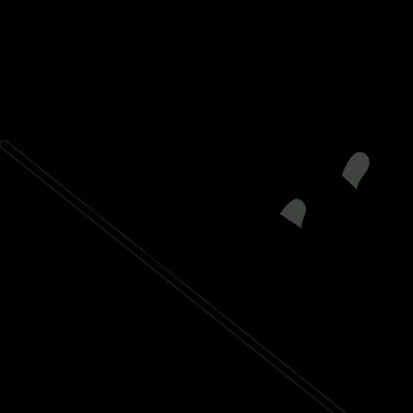 Checkared Flag 2 Thumbnail