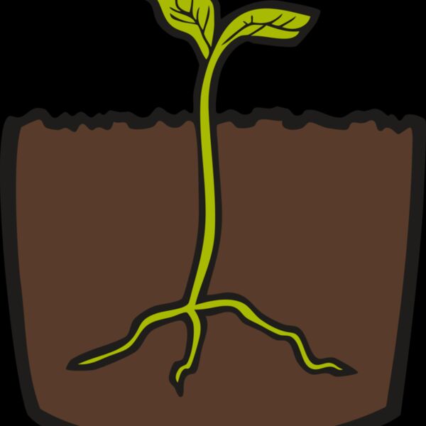 LandscapeD15 Thumbnail