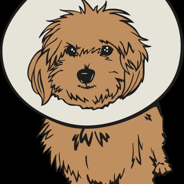 puppyM06 Thumbnail