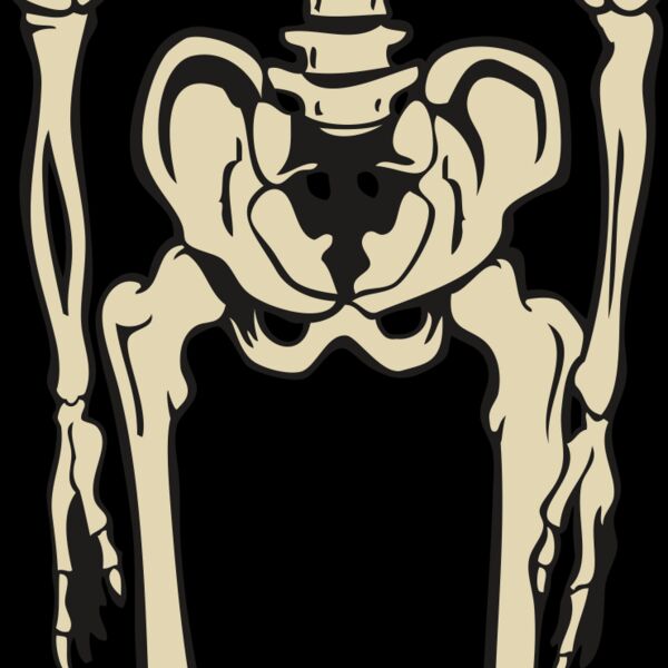 Skeletonj020 Thumbnail
