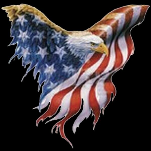 American Eagle Thumbnail