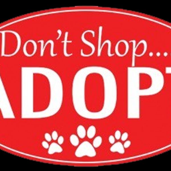 Adopt Don t Shop Thumbnail