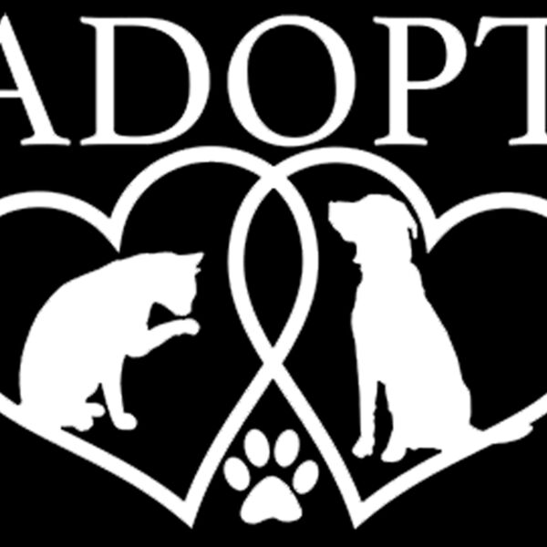 Adopt Thumbnail