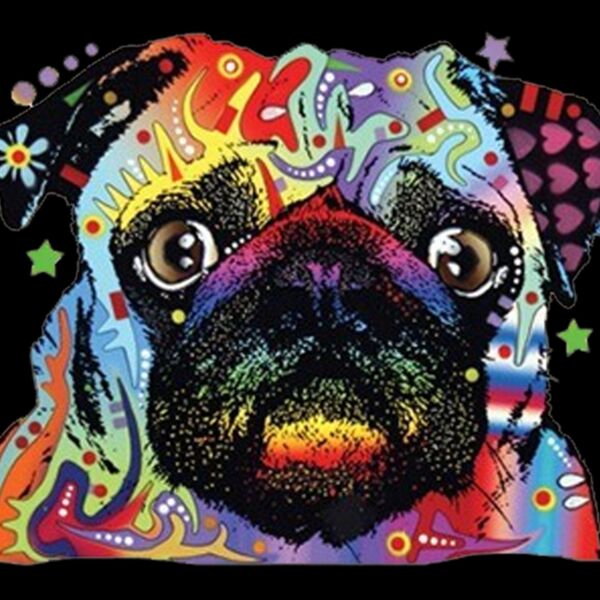 Colorful Pug Thumbnail