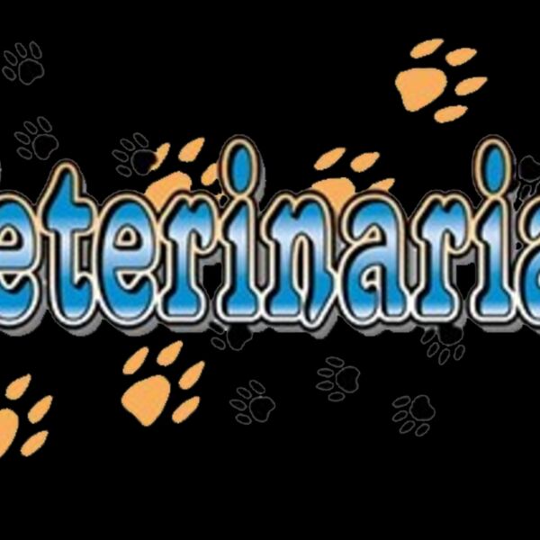 Veterinarian Thumbnail