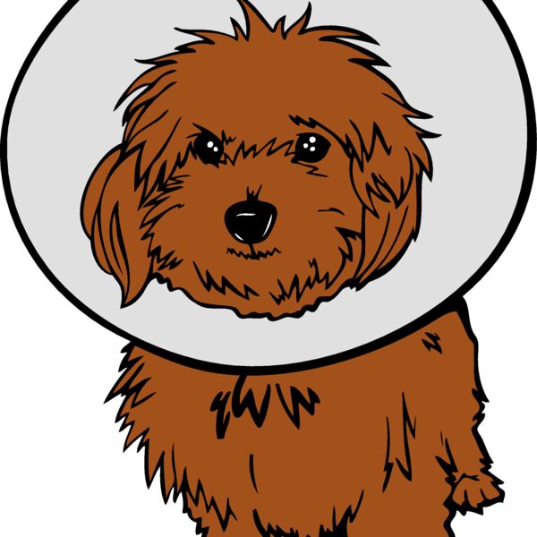puppyM06 eps Thumbnail