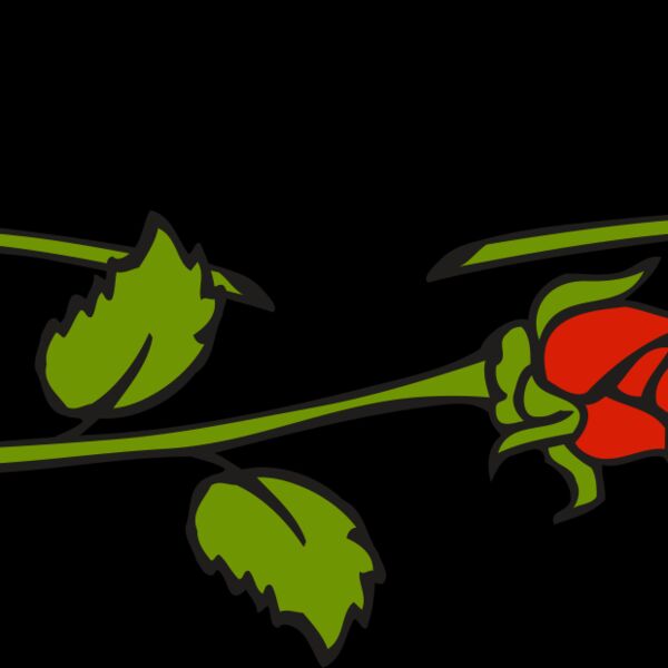 roses1 Thumbnail