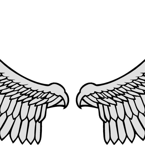 wings3 eps Thumbnail