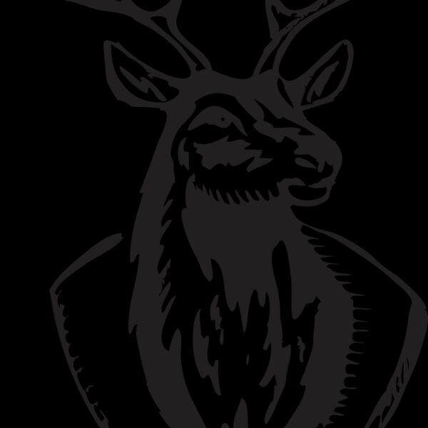 MNTEDDEER Thumbnail