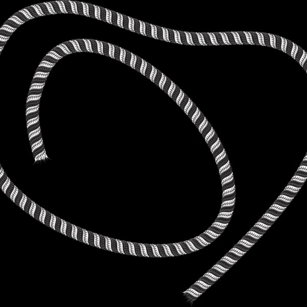 ROPE1 Thumbnail
