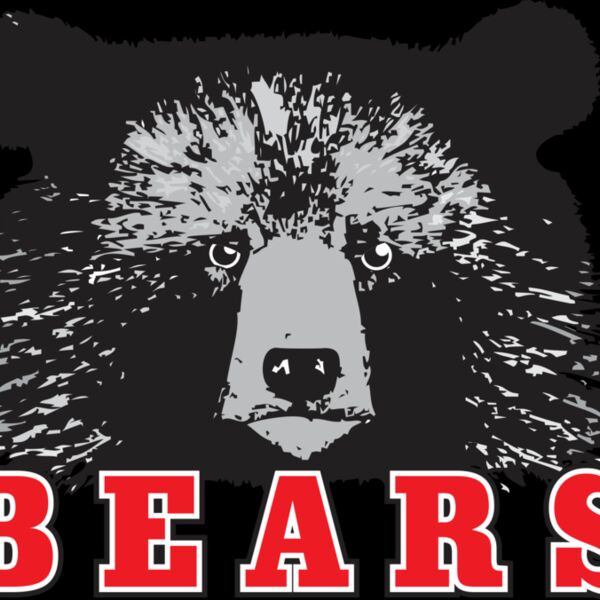 BEARSLOGO1 Thumbnail