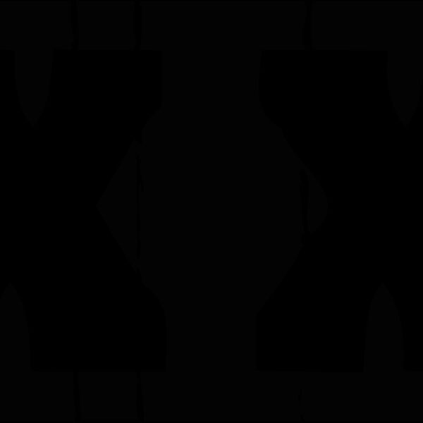XXLOGO1 eps Thumbnail