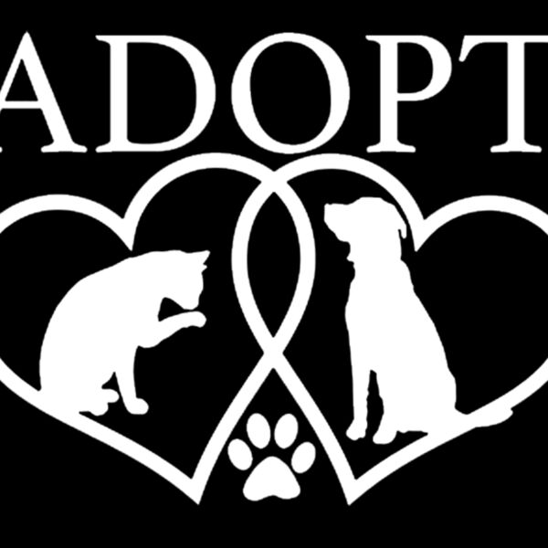 Adopt Thumbnail