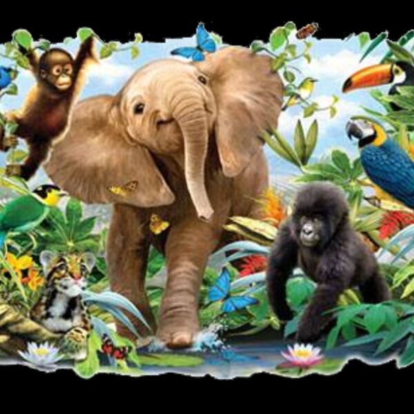 The Jungle Thumbnail