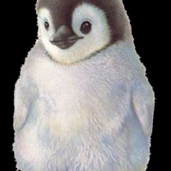 Baby Penguin Thumbnail