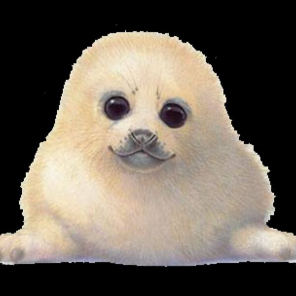 Baby Seal Thumbnail