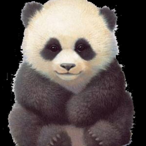 Baby Panda Thumbnail