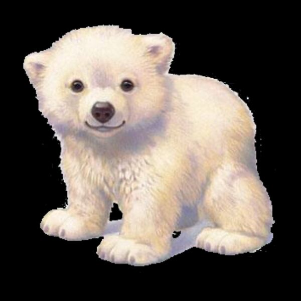 Baby Polar Bear Thumbnail