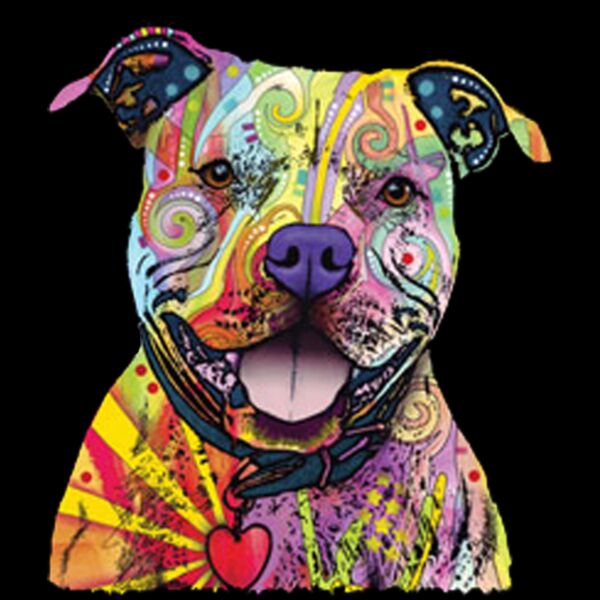 Colorful Pitbull Thumbnail