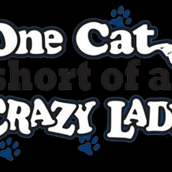Crazy Cat Lady Thumbnail