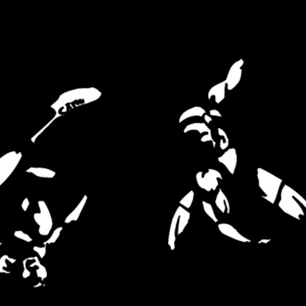 Wrestling10 Thumbnail