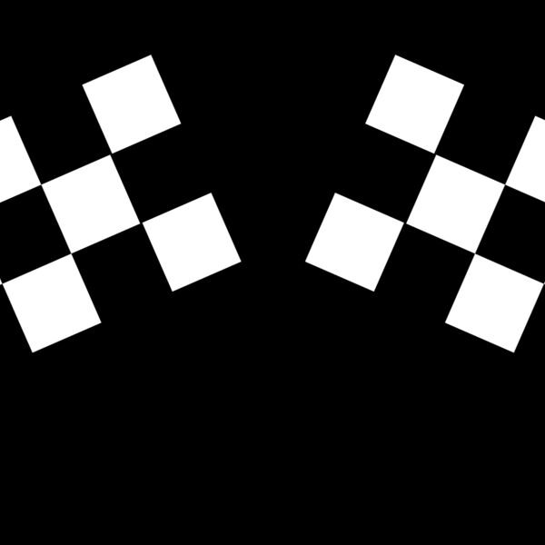 Checkered Flags3 Thumbnail