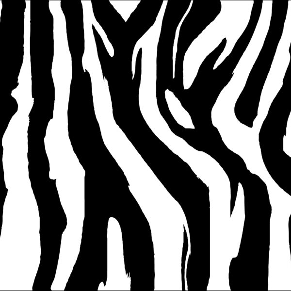 Zebra Print1 Thumbnail