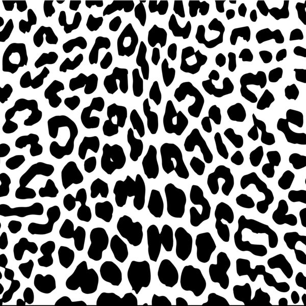 Leopard Print1 Thumbnail