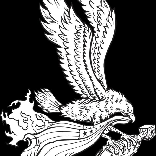 USA Eagle3 Thumbnail