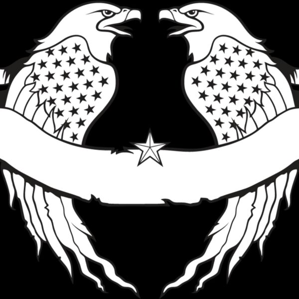USA Eagle13 Thumbnail