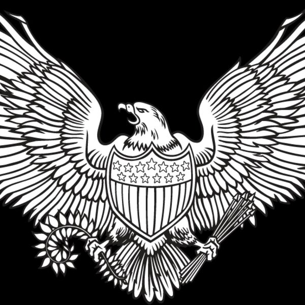 USA Eagle1 Thumbnail