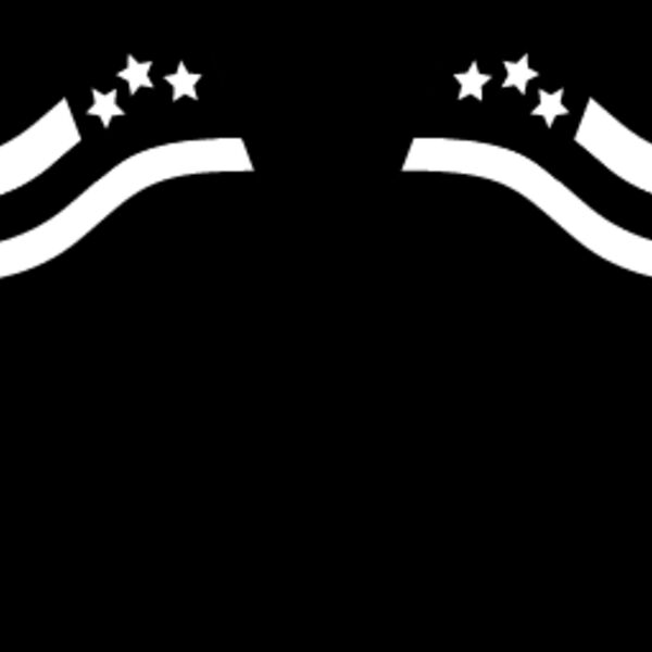 USA Flag10 Thumbnail