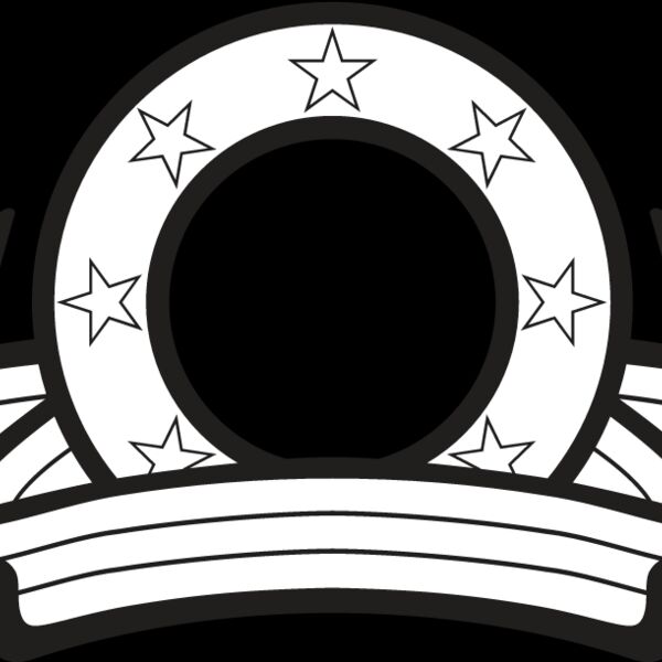 USA Badge1 Thumbnail