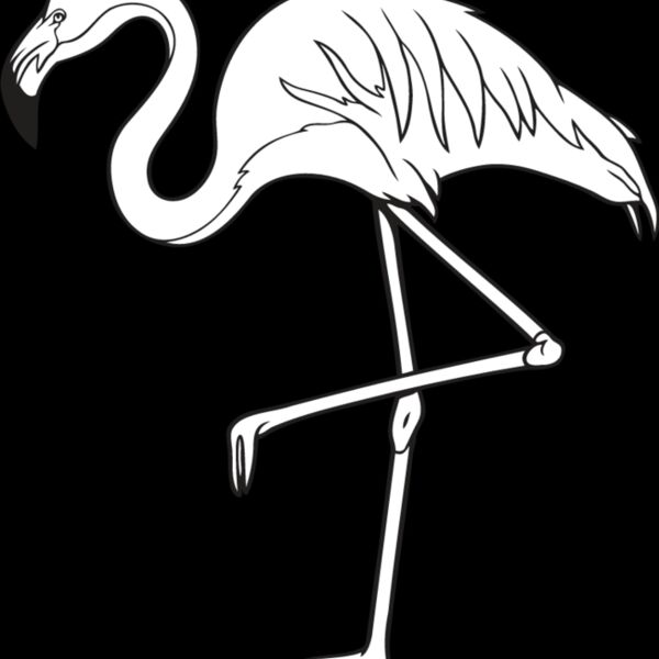 Flamingo Thumbnail
